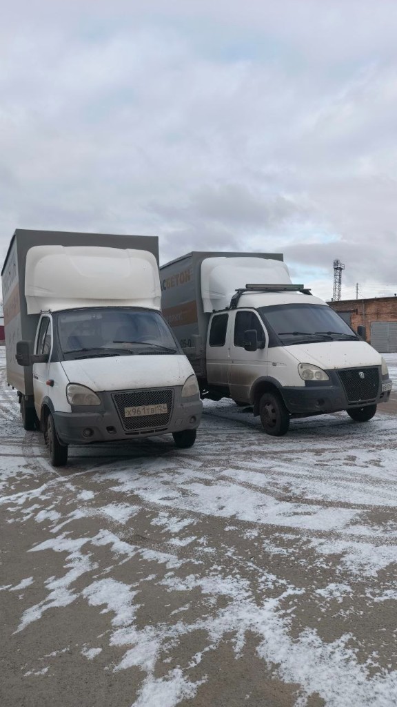 Две газели в автопарке